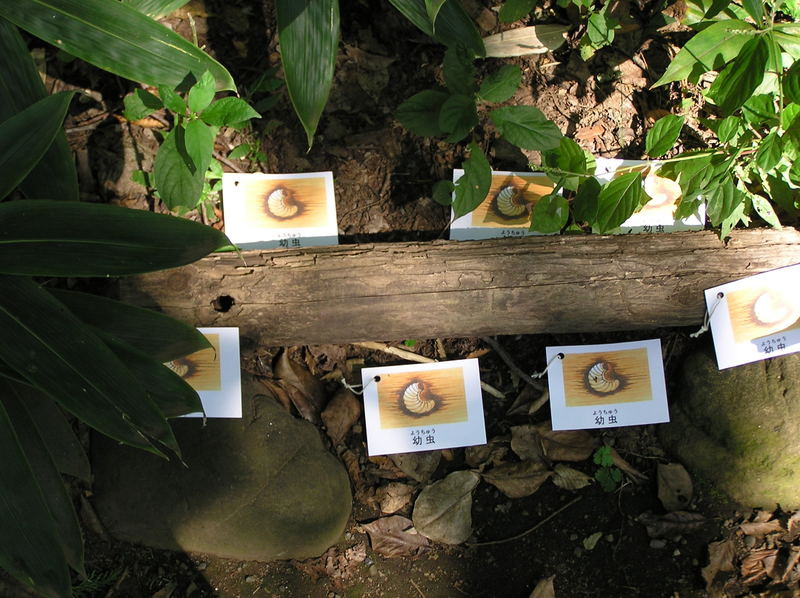Photo_2 Photo_2