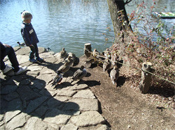 20080217_4 20080217_4