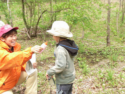 20080427_4 20080427_4