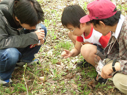 20080427_9 20080427_9
