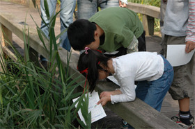 20081005_8